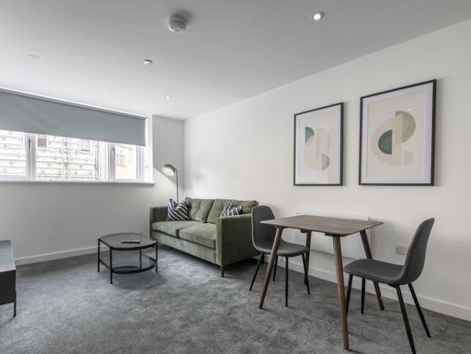 One Bedroom Apartment City Point