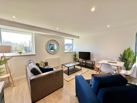 One Bed Apartment With Sofa Bed Coates House