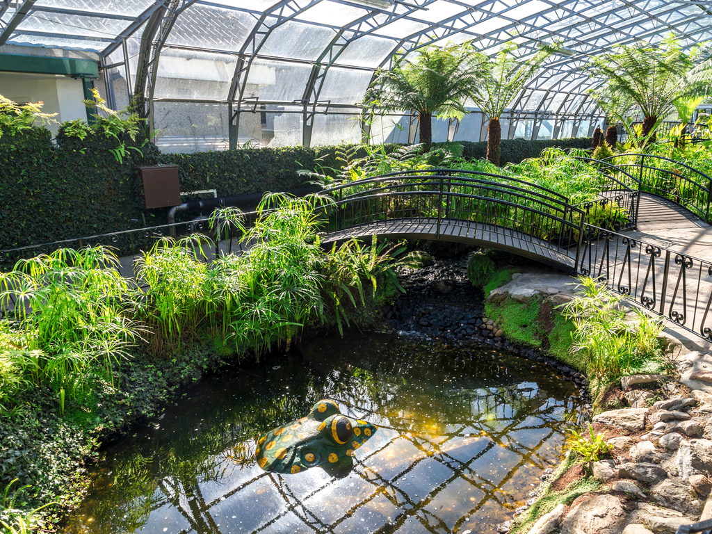 Aberdeen Duthie Park.jpg