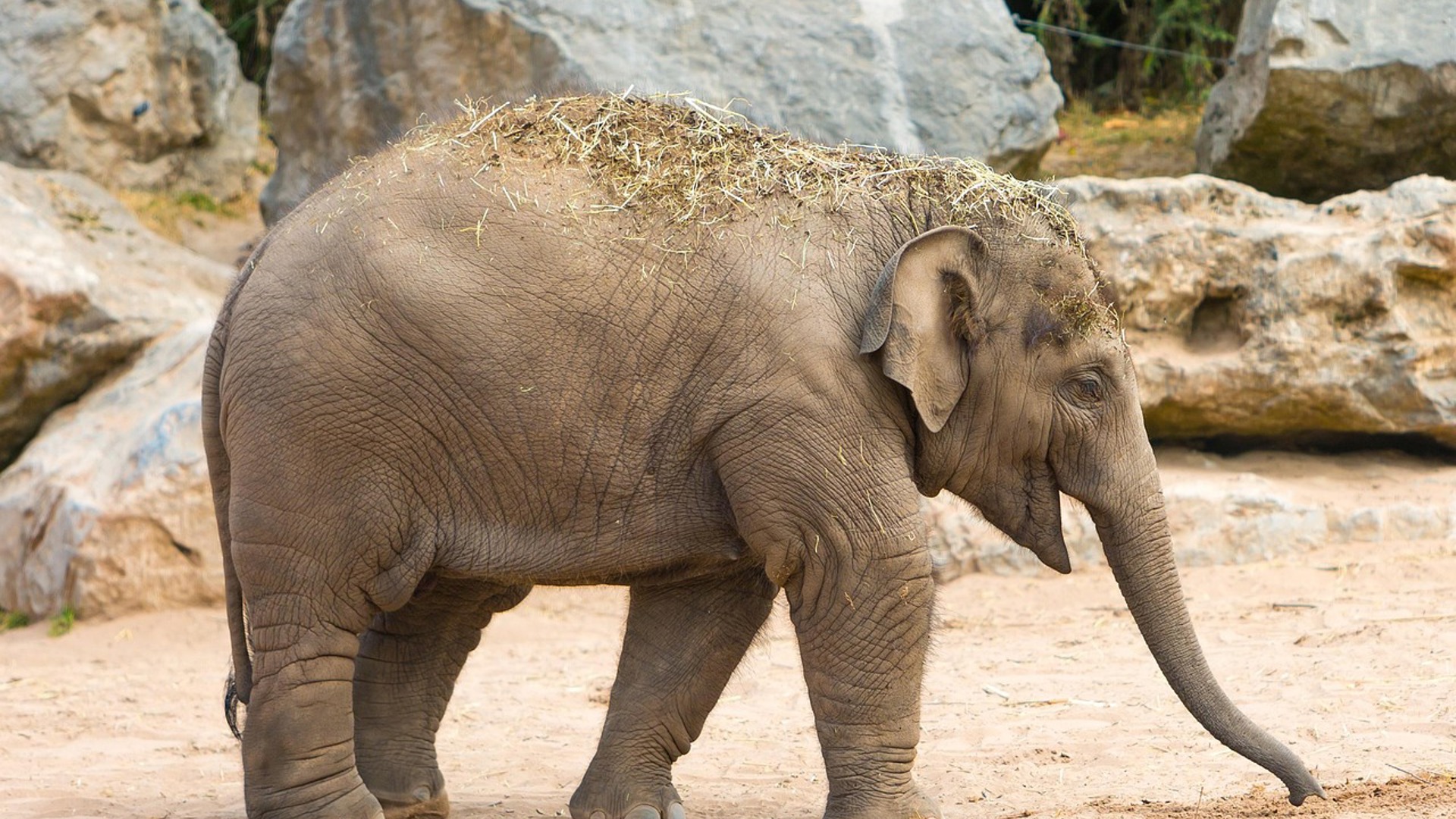 Serviced Apartments Edinburgh