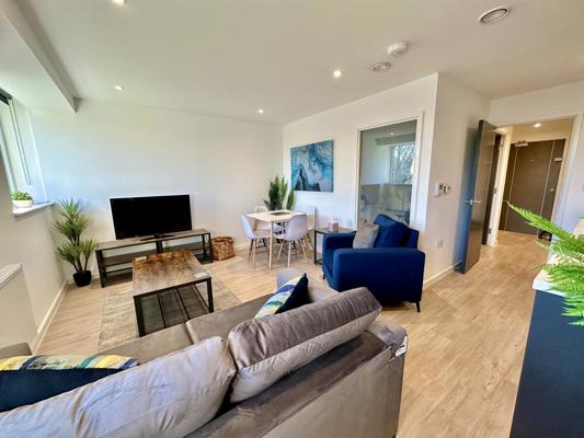 One Bed Apartment With Sofa Bed Coates House